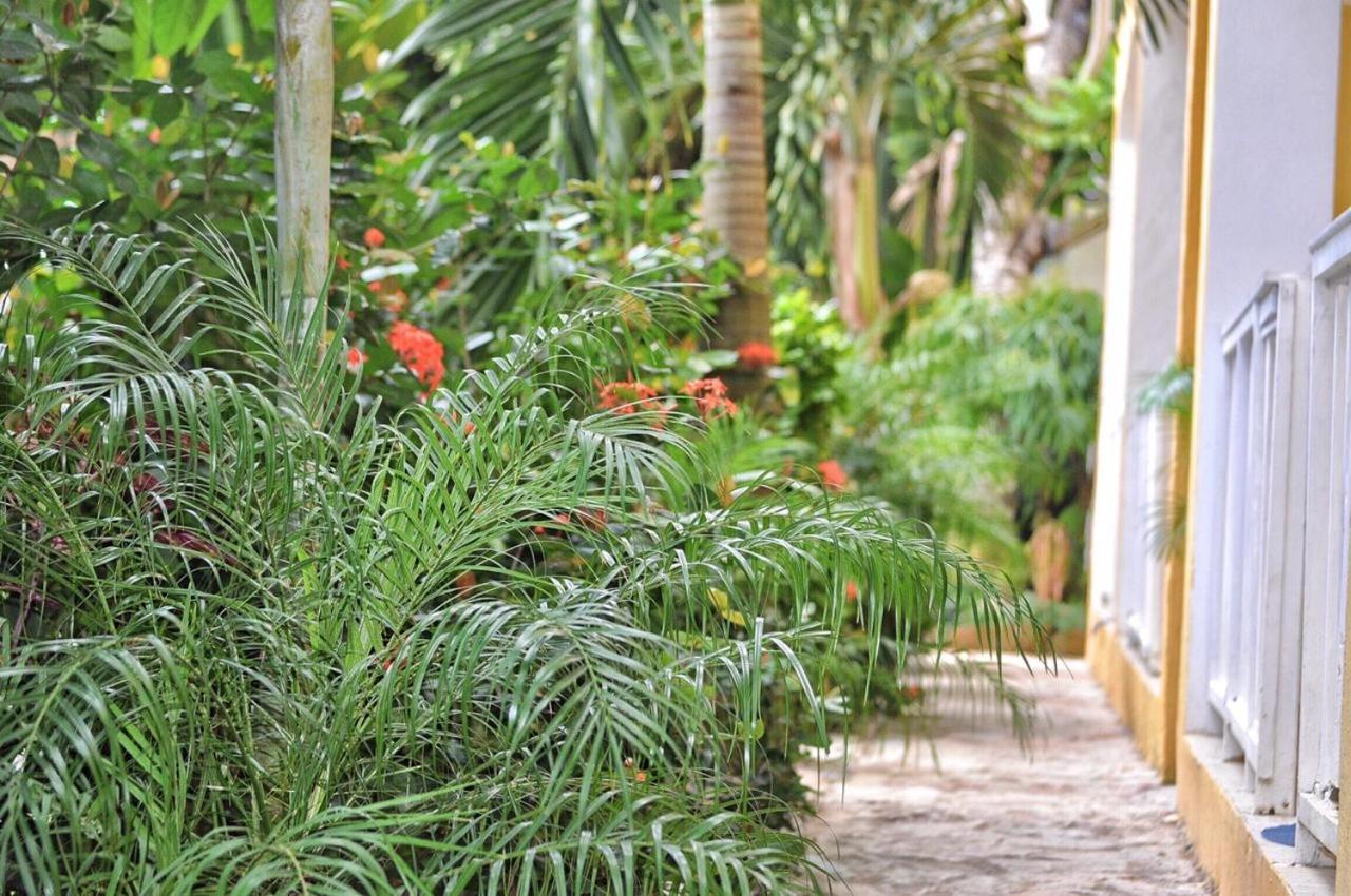 De Luz Hotel El Limon Luaran gambar